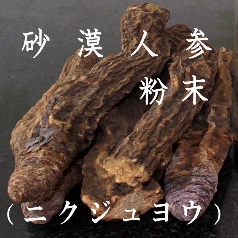 砂漠人参 粉末 カンカ 100g 新疆ウイグル産 サバクニンジン 人参 肉蓯蓉 ニクジュヨウ 栄養ドリンク素 たんぽぽ本舗