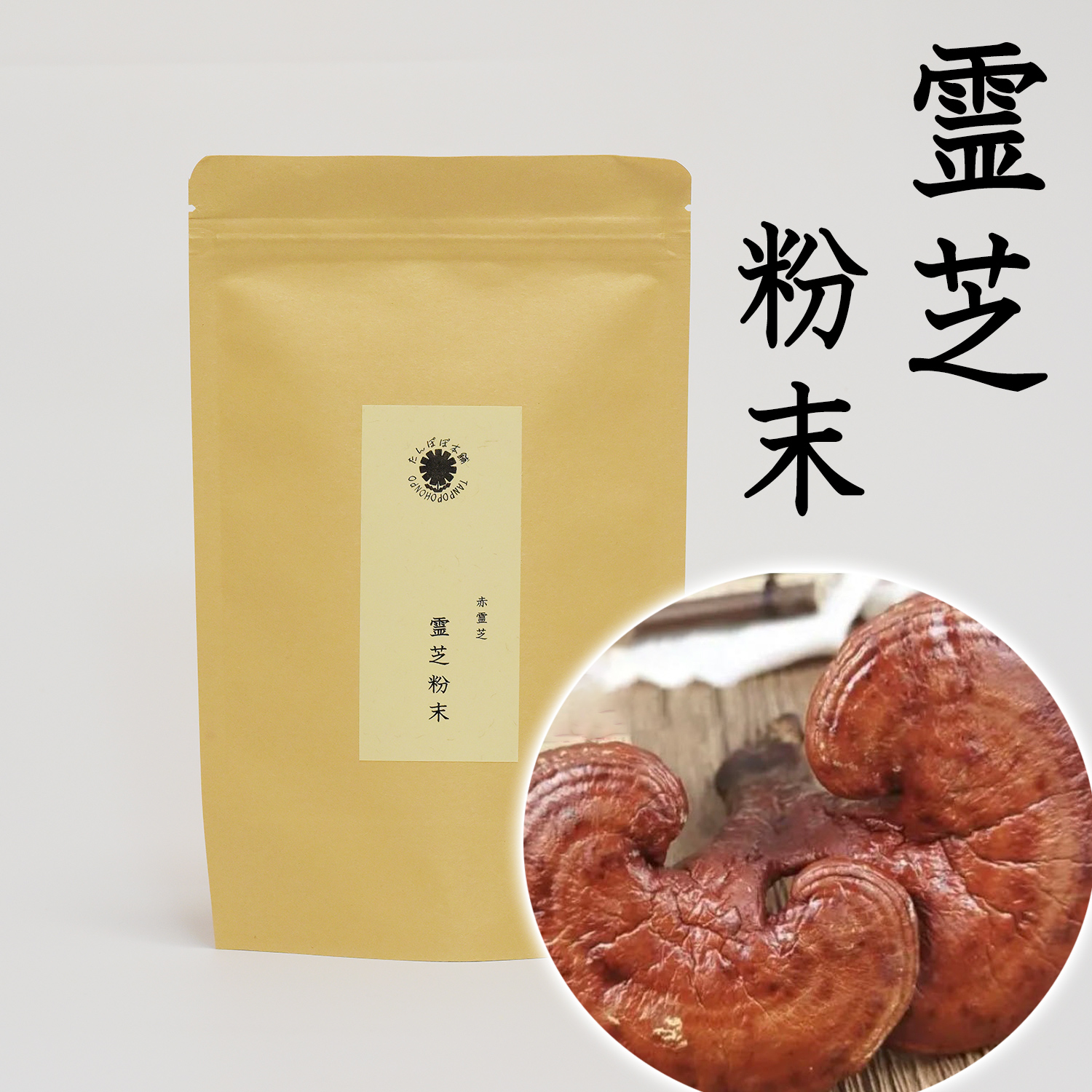 霊芝 パウダー 粉末 100g レイシ 霊芝煎じ汁 霊芝酒用 サルノコシカケ 長白山赤霊芝 たんぽぽ本舗